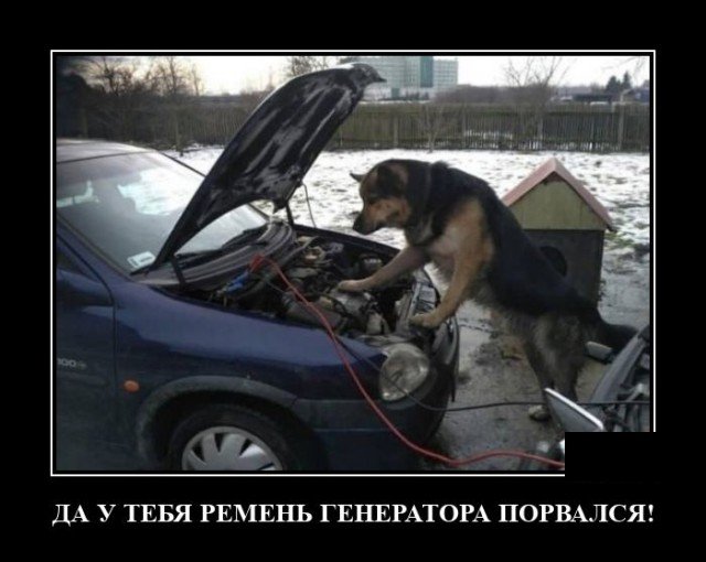 Демотиватор про ремонт авто