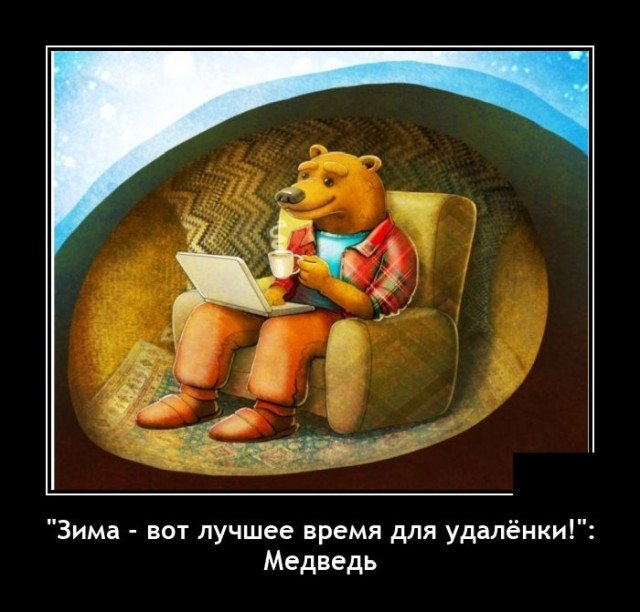 204755_15_trinixy_ru.jpg