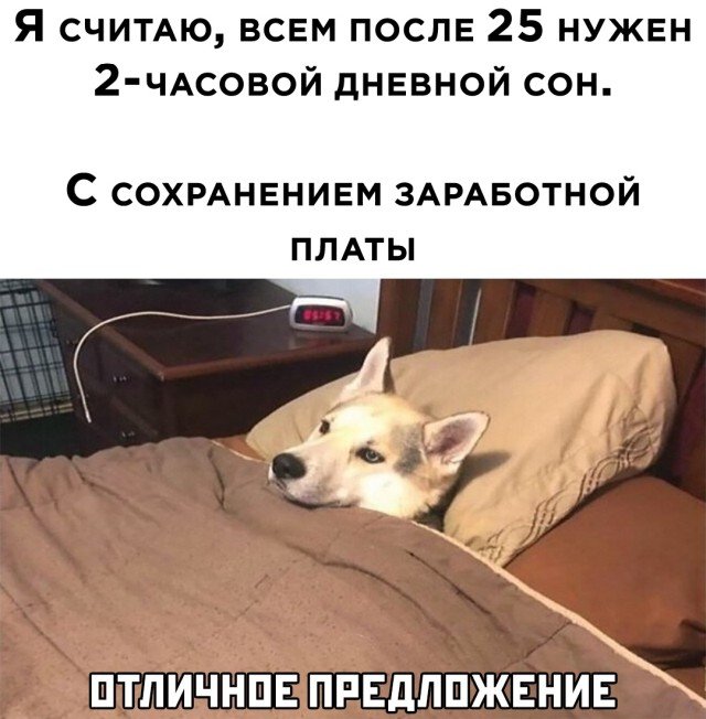 Дневной сон на рабочем месте