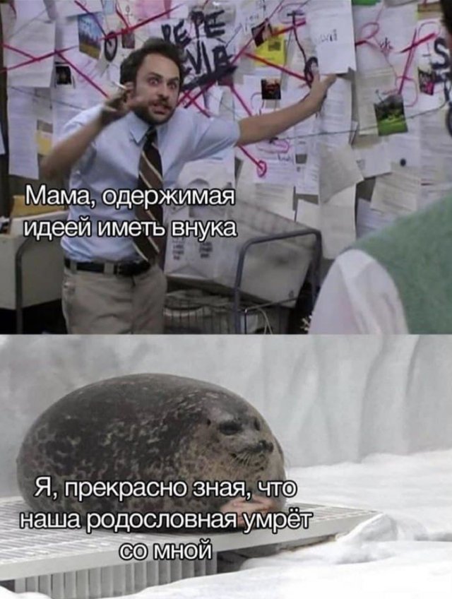 Лучшие шутки и мемы из Сети