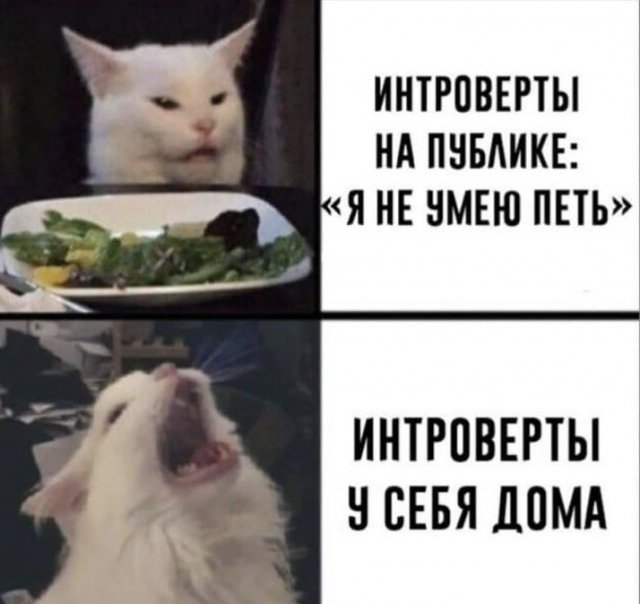 Лучшие шутки и мемы из Сети