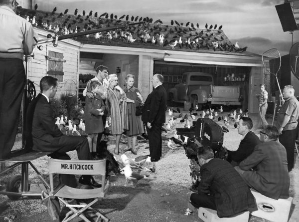 Павильонная атмосфера съёмок фильма "Птицы" (1963) напоминает ситком Павильонная атмосфера съёмок фильма "Птицы" (1963) напоминает ситком