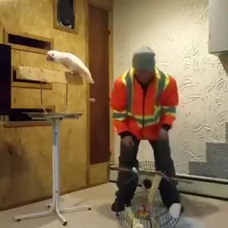 А вот, не надо злить!