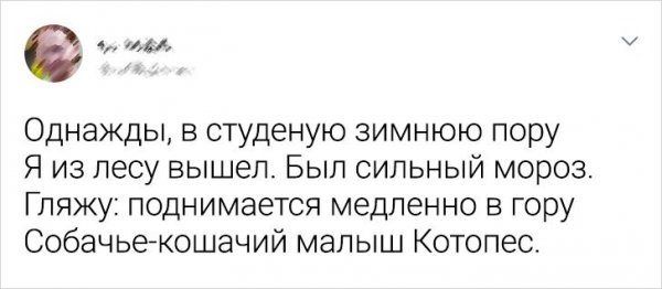 твит про котопса