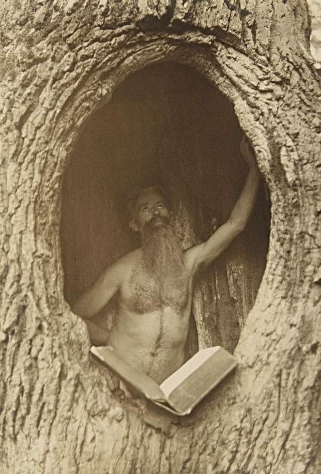 Мужчина в дупле читает книжку, Индия, 1900-е