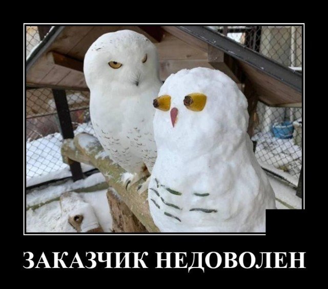 Демотиватор про заказы