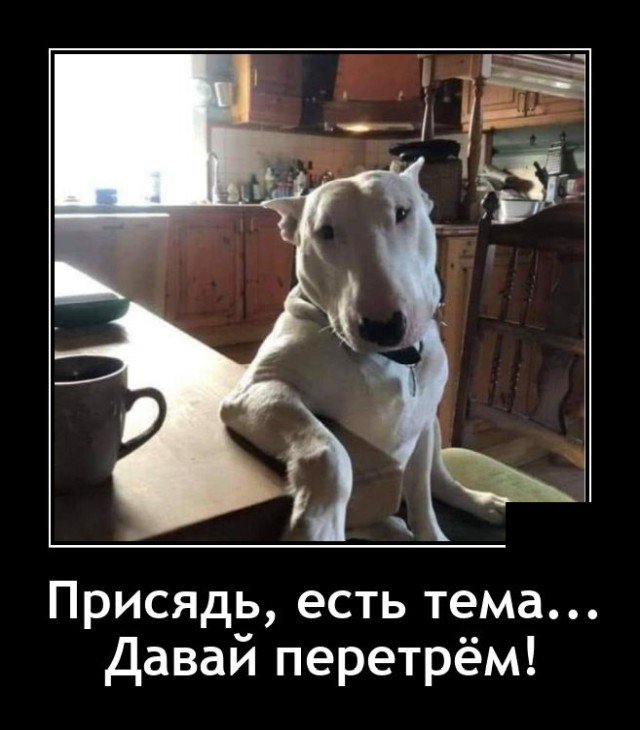 Демотиватор про разговор