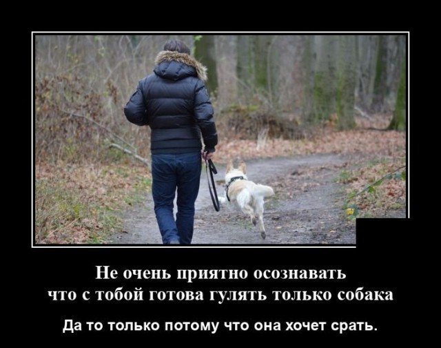 Демотиватор про собаку