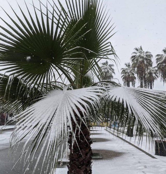 Настоящая зима в Абхазии