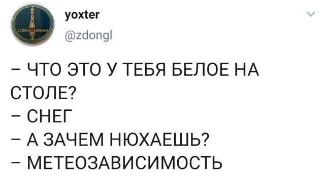 твит про снег