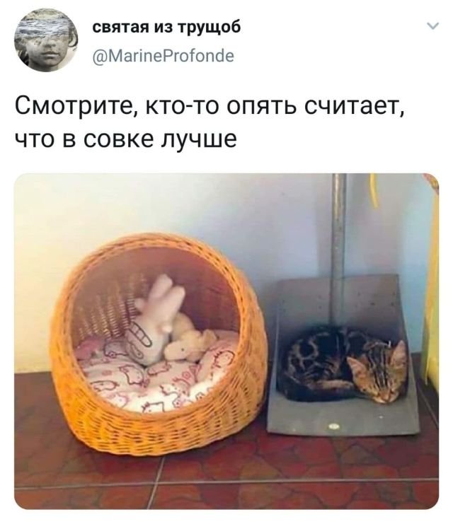 твит про совок