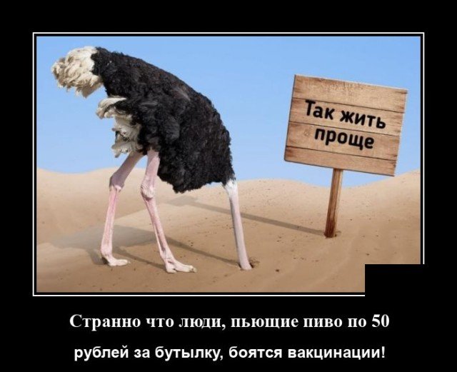 Демотиватор про простоту