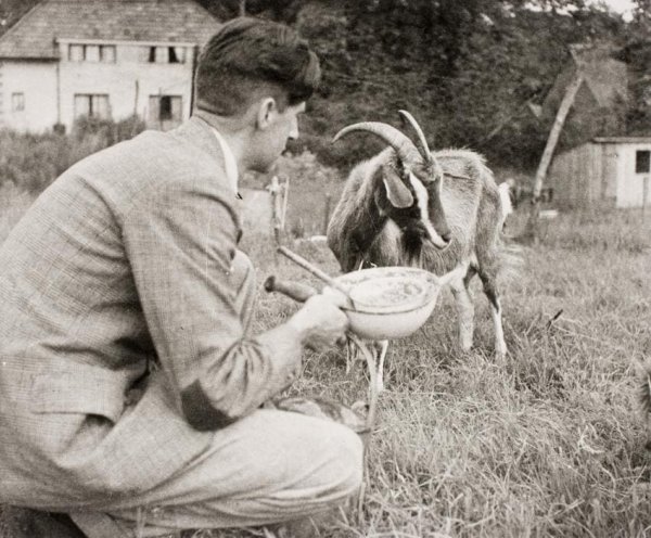 Джордж Оруэлл на своей ферме с козой Мюриэль