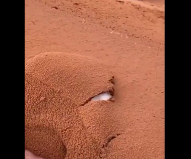 Зрелищное видео из Саудовской Аравии: &quot;мороженое&quot; из снега и песка