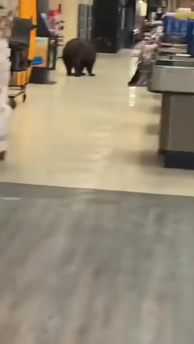 Где мой медовик?