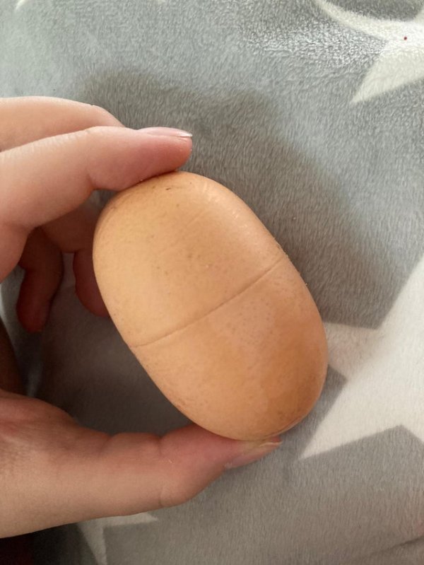 Курица снесла яйцо похожее на киндер-сюрприз