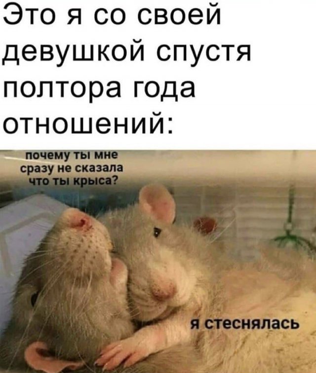 Лучшие шутки и мемы из Сети