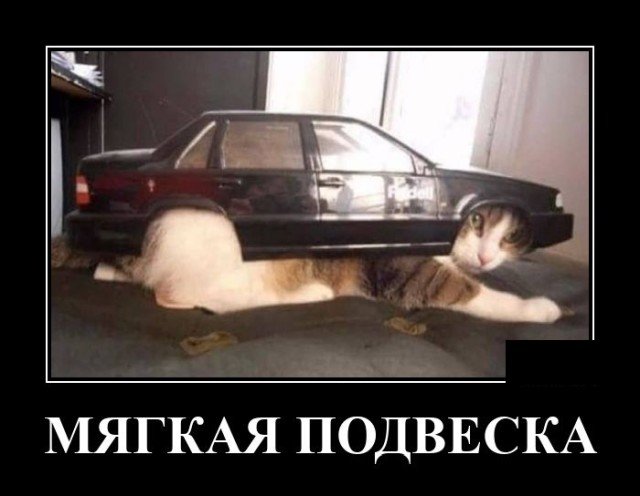 Демотиватор про подвеску