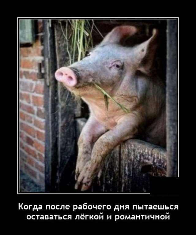 Демотиватор про рабочий день