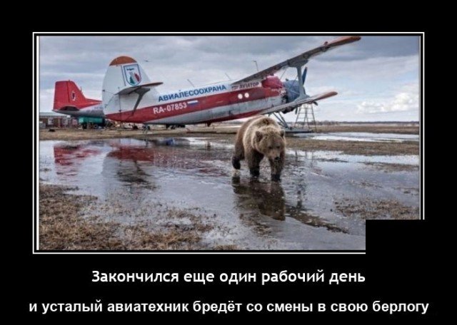 Демотиватор про пилотов