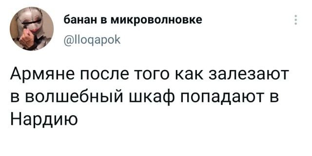 твит про арямн