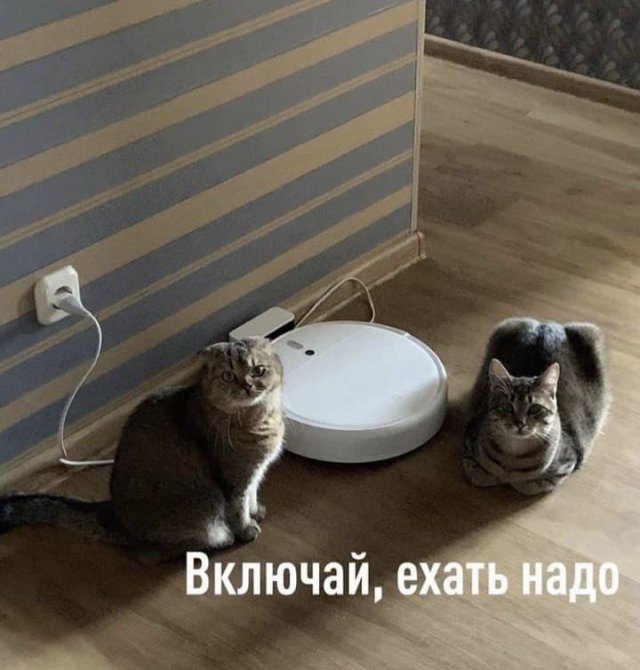 Лучшие шутки и мемы из Сети