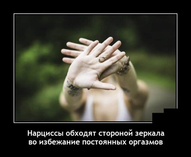 Демотиватор про нарцисы