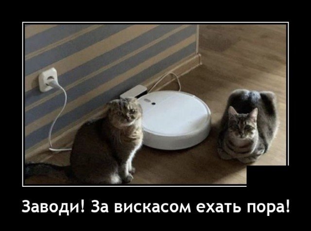 Демотиватор про пылесос