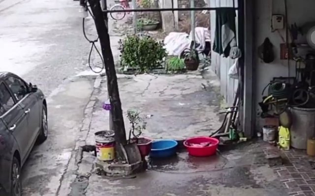 Во Вьетнаме рыба сбежала из тазика с добралась до канализации