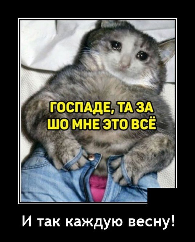 Демотиватор про весну