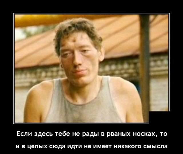 Демотиватор про носки