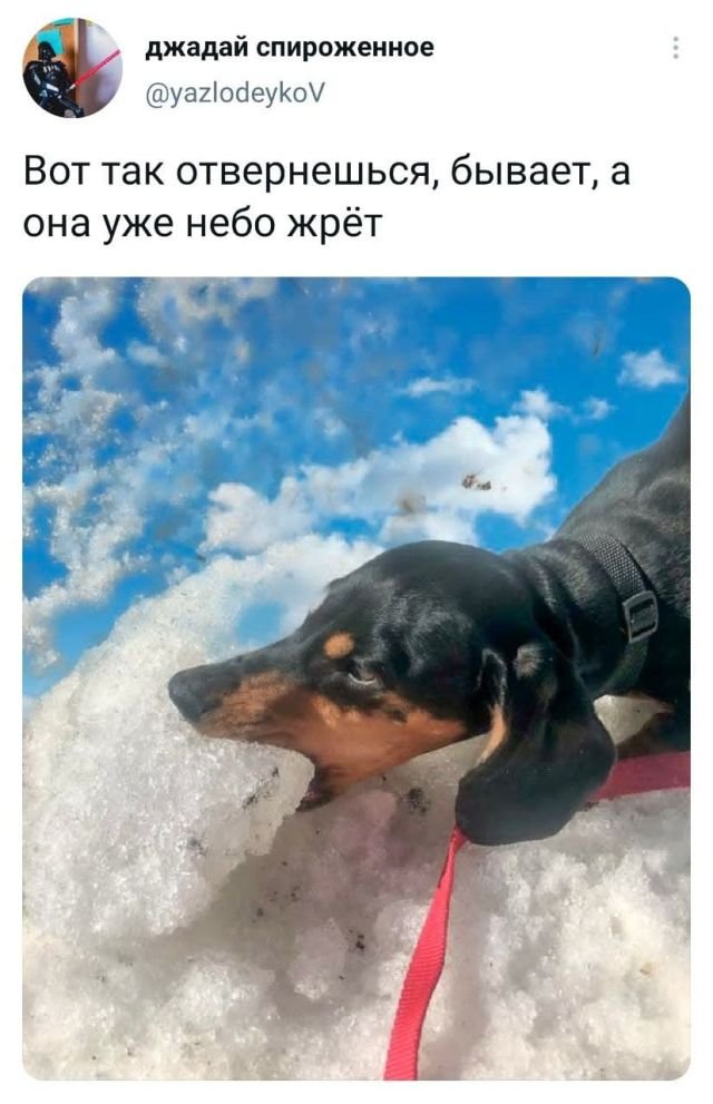 твит про небо