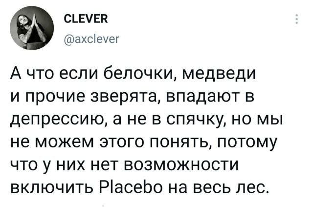 твит про спячку