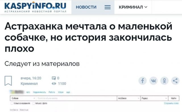 Подборка забавных и странных заголовков из СМИ