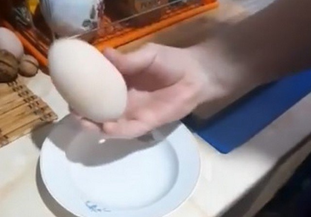Куриное яйцо с большим сюрпризом