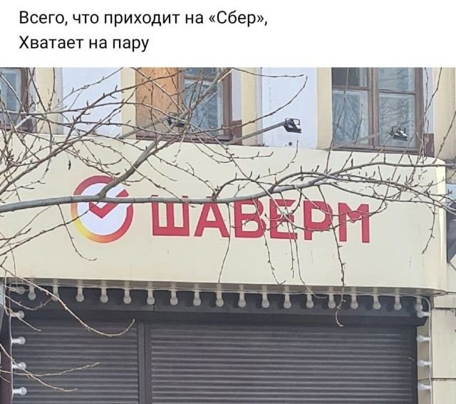 стих про шаверму