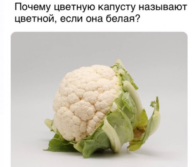 Философские вопросы от пользователей, заставляющие задуматься