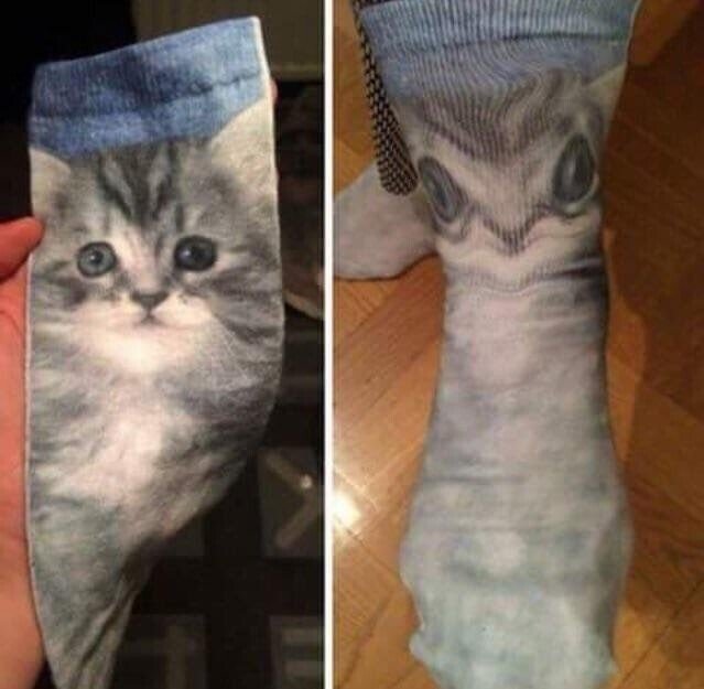 носки с котом