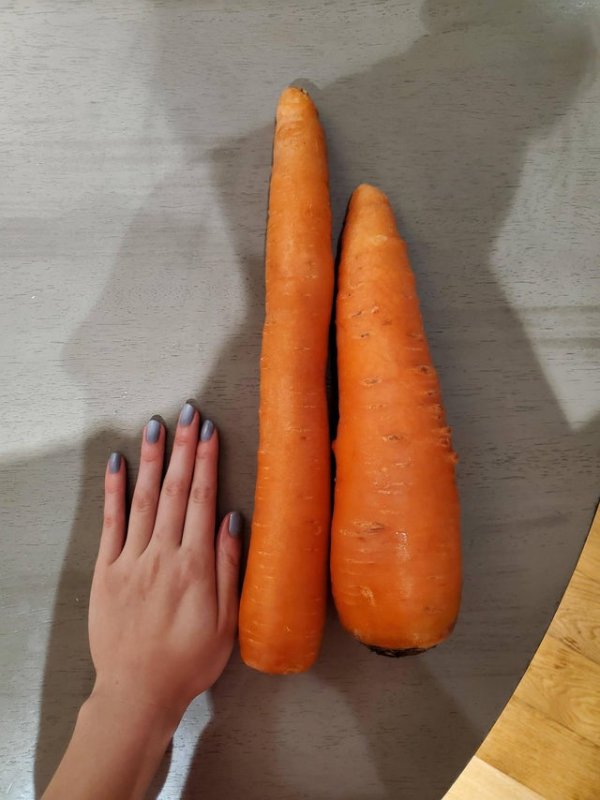 Морковки-гиганты
