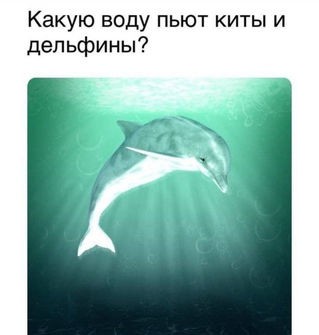 Смелые и философские рассуждения от пользователей Сети