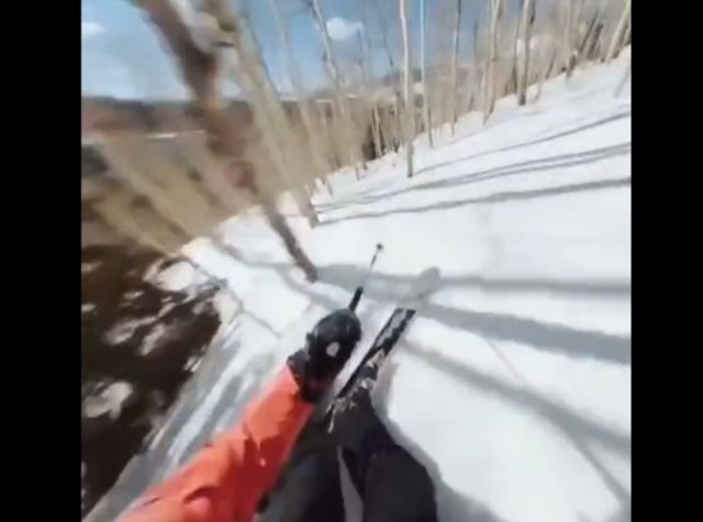 Эффектный спуск через лес на лыжах