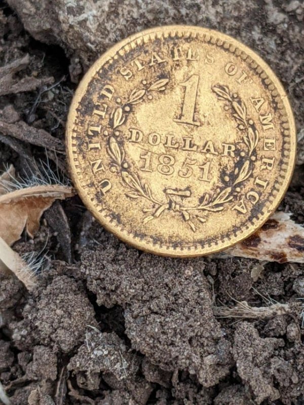 1 доллар 1851 года