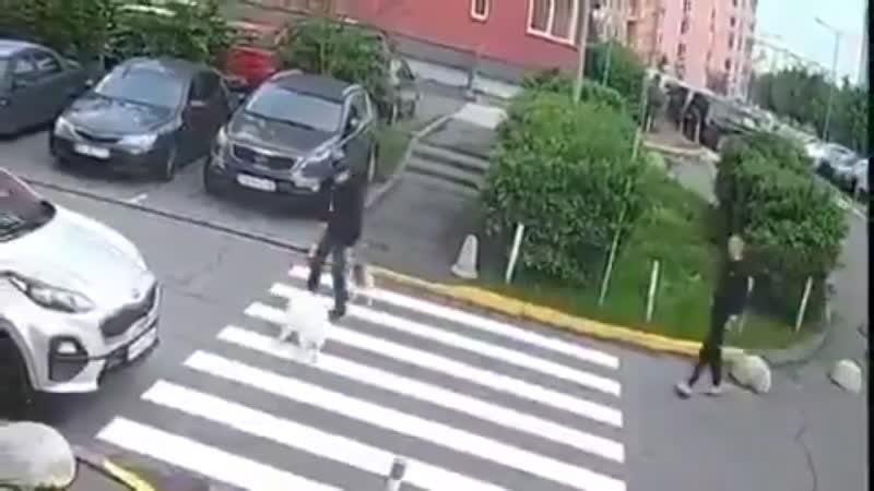 Выручил перчик!