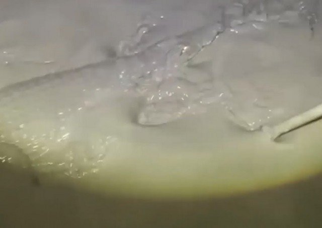 После потопа в Крыму из крокодиляриума голыми руками вылавливали рептилий