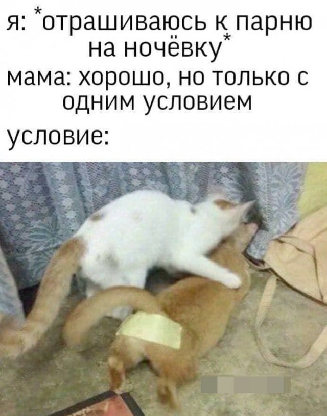 Мемы и приколы про отношения и &quot;это&quot;