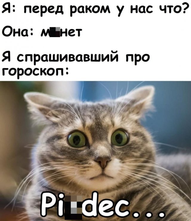 Мемы и приколы про отношения и &quot;это&quot;