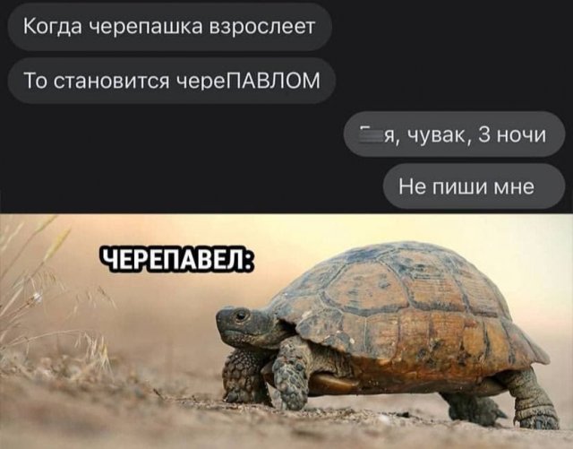 Смешные переписки