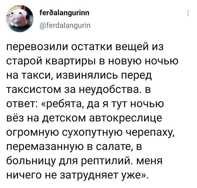 Подборка забавных твитов обо всем