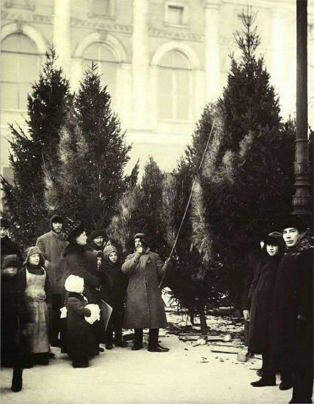 Елочный базар в Екатерининском саду Санкт-Петербург в 1913 году.