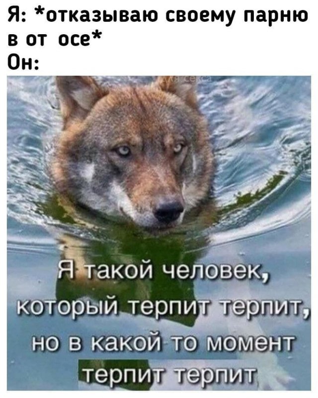 Мемы и приколы про &quot;это&quot;